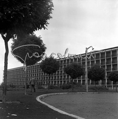 Case popolari nel quartiere di San Siro. Milano, 1956